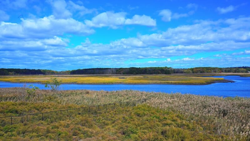 Freshkills Park - Staten Island, NY