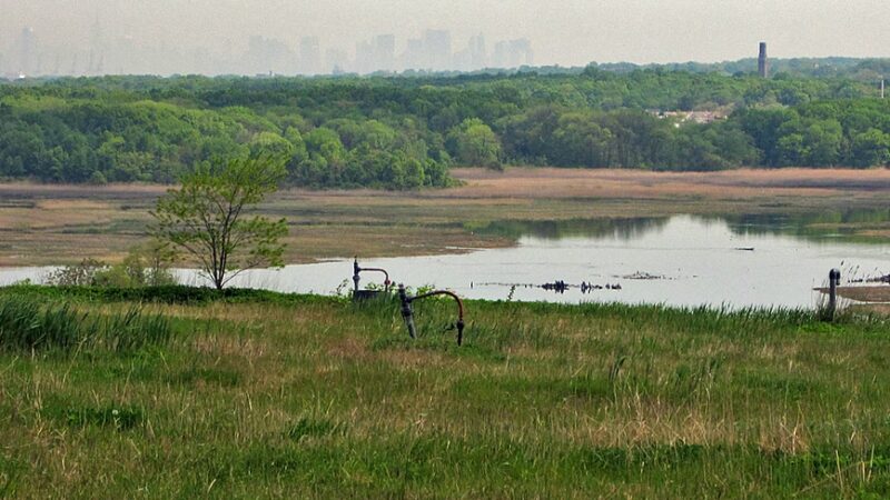 Freshkills Park - Staten Island, NY