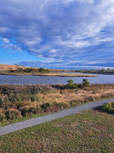 Freshkills Park - Staten Island, NY