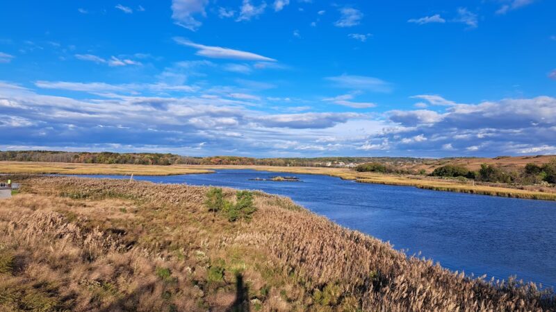 Freshkills Park - Staten Island, NY
