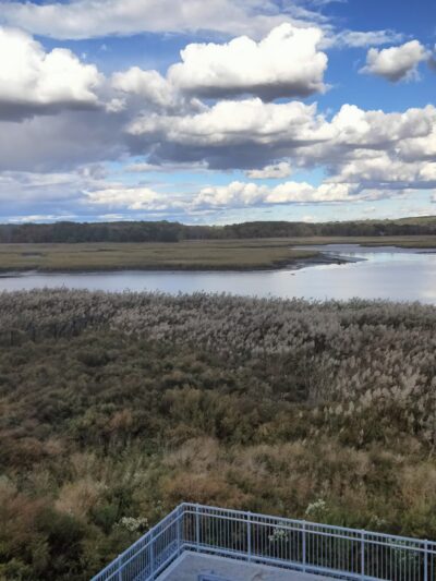 Freshkills Park (North Mound) - Staten Island, NY