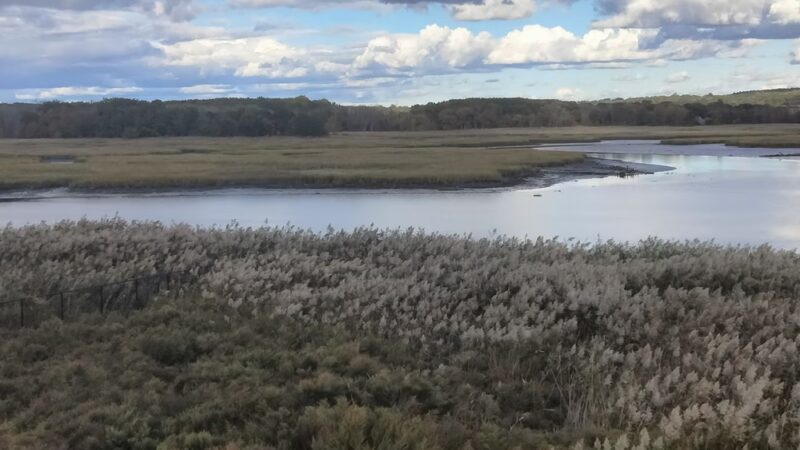 Freshkills Park (North Mound) - Staten Island, NY