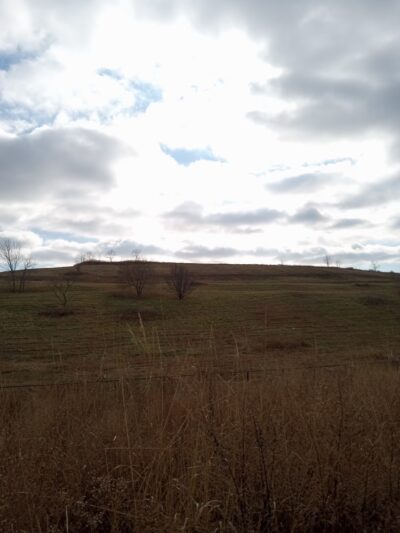 Freshkills Park (North Mound) - Staten Island, NY