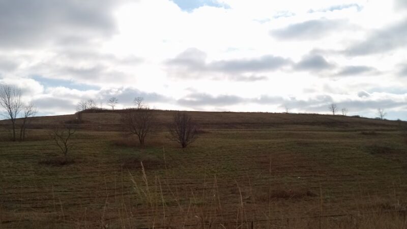 Freshkills Park (North Mound) - Staten Island, NY