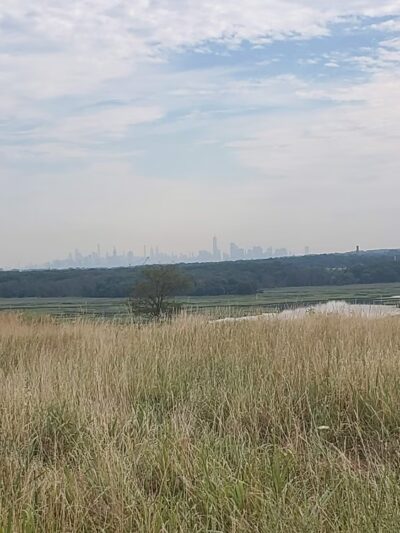 Freshkills Park (North Mound) - Staten Island, NY
