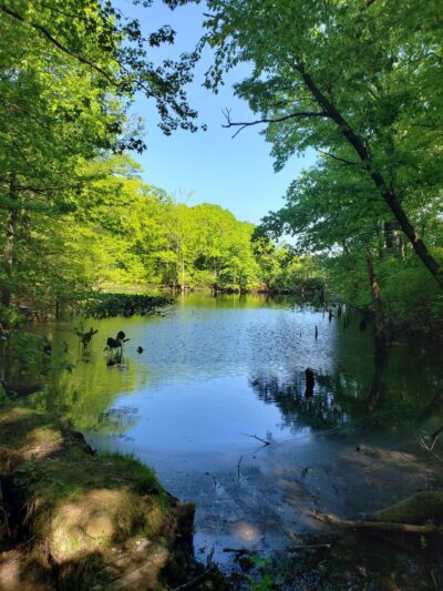 Greenbelt Conservancy Headquarters (High Rock Park) - Staten Island, NY