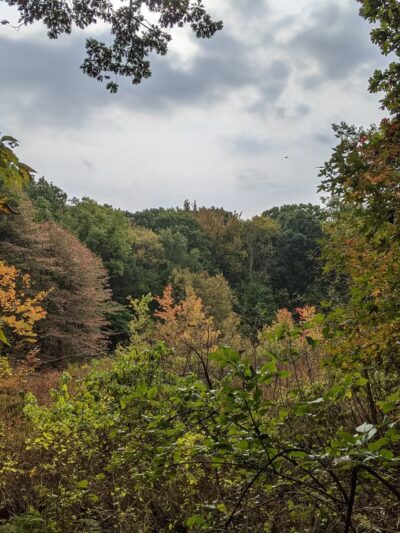 Greenbelt Conservancy Headquarters (High Rock Park) - Staten Island, NY