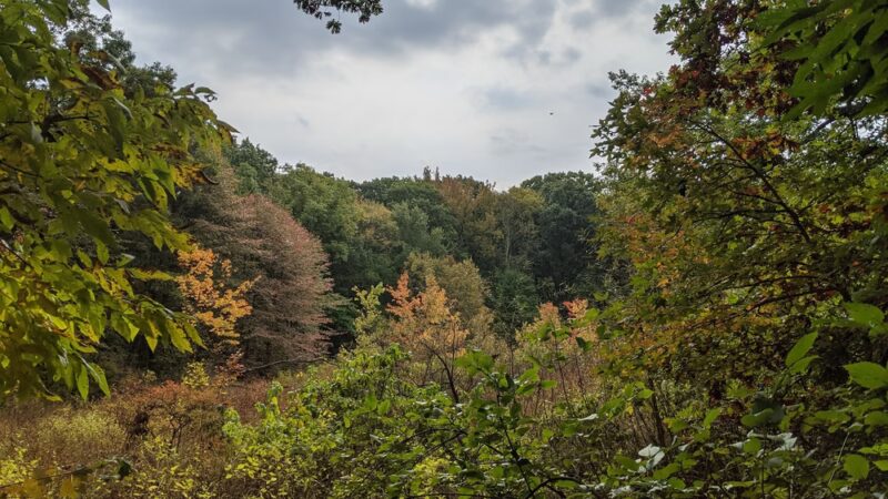 Greenbelt Conservancy Headquarters (High Rock Park) - Staten Island, NY