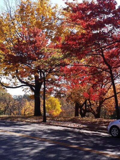 Haven Esplanade - Staten Island, NY