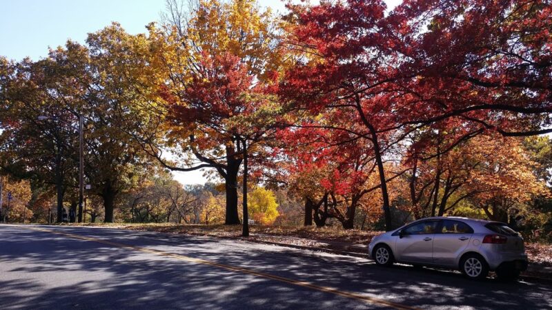 Haven Esplanade - Staten Island, NY