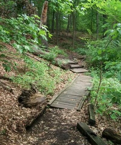 High Rock Park - Staten Island, NY