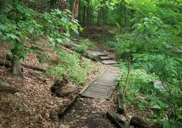 High Rock Park - Staten Island, NY