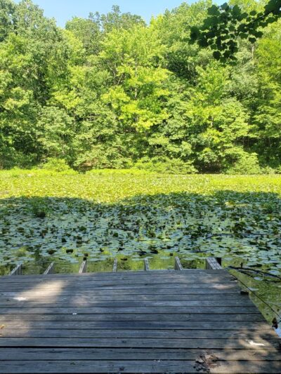 High Rock Park - Staten Island, NY