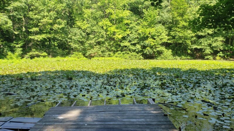 High Rock Park - Staten Island, NY
