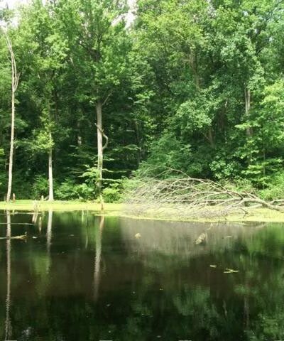 High Rock Park - Staten Island, NY