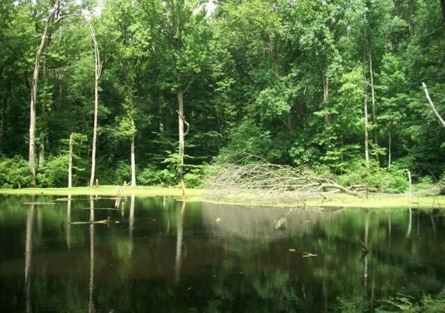 High Rock Park - Staten Island, NY