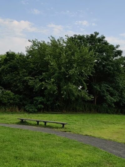 Lemon Creek Park - Staten Island, NY