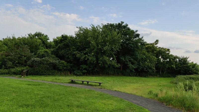 Lemon Creek Park - Staten Island, NY