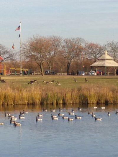 Lemon Creek Park - Staten Island, NY