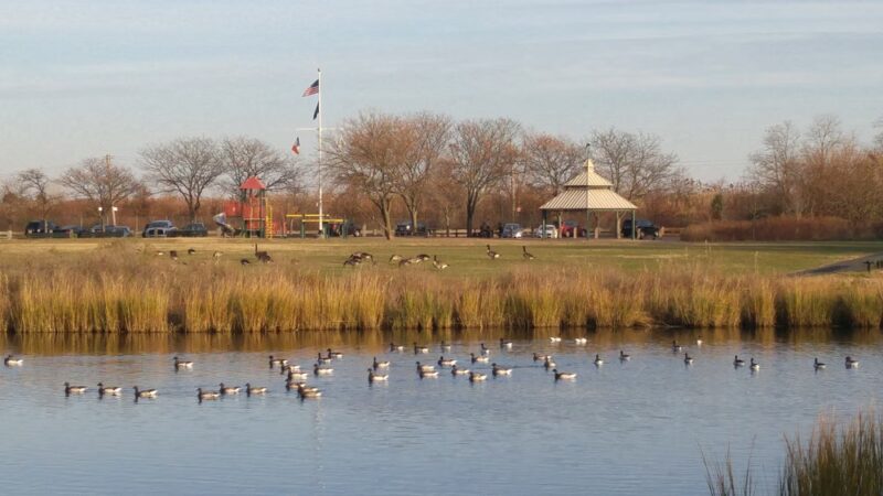 Lemon Creek Park - Staten Island, NY