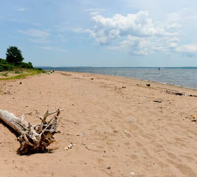 Lemon Creek Park - Staten Island, NY