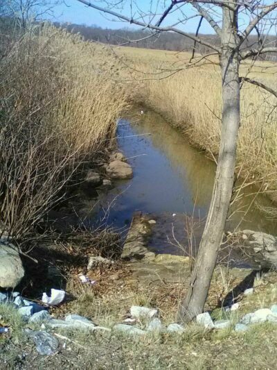New Springville Greenway - Staten Island, NY