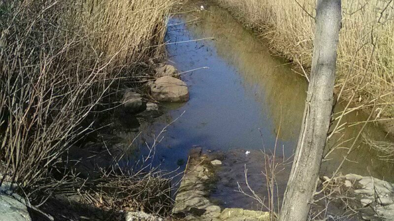 New Springville Greenway - Staten Island, NY