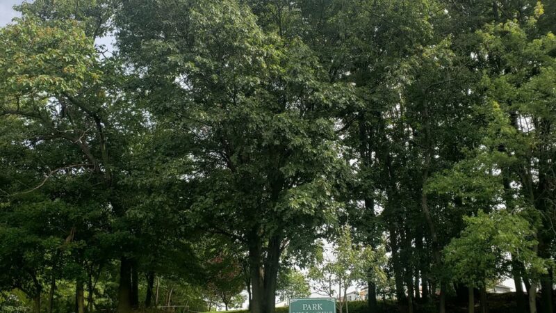 Park villages - Staten Island, NY