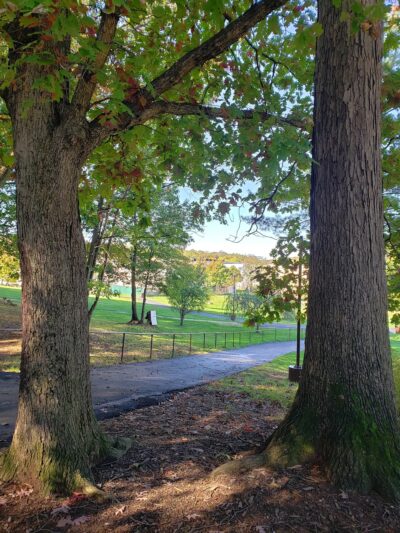 Park villages - Staten Island, NY