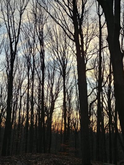 Richmond Parkway - Staten Island, NY