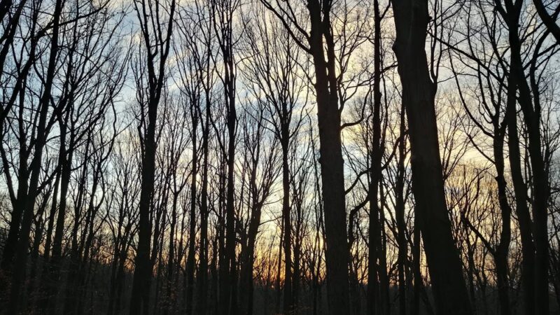 Richmond Parkway - Staten Island, NY