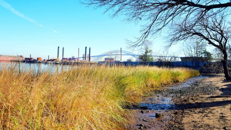Richmond Terrace Park - Staten Island, NY