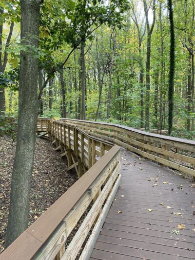 Saint Francis woodlands - Staten Island, NY