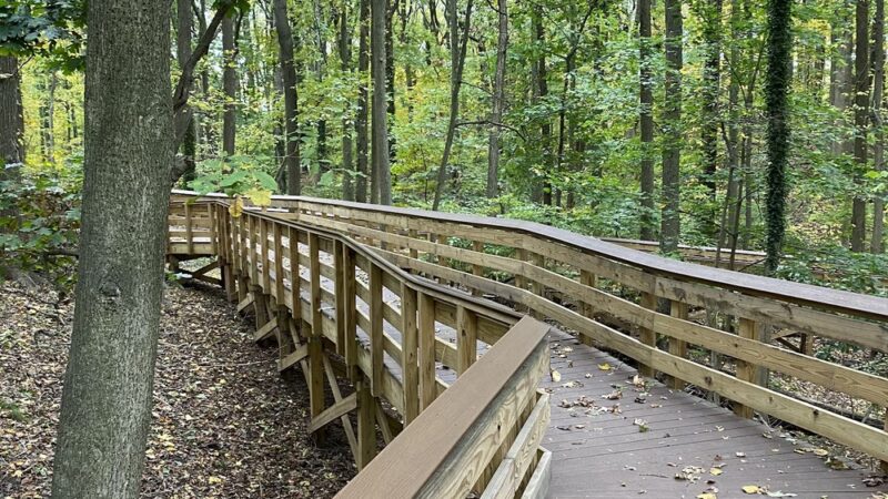 Saint Francis woodlands - Staten Island, NY
