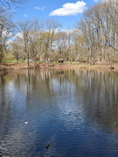 Saint Francis woodlands - Staten Island, NY