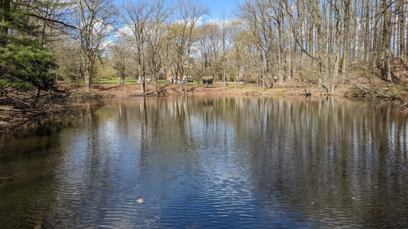 Saint Francis woodlands - Staten Island, NY