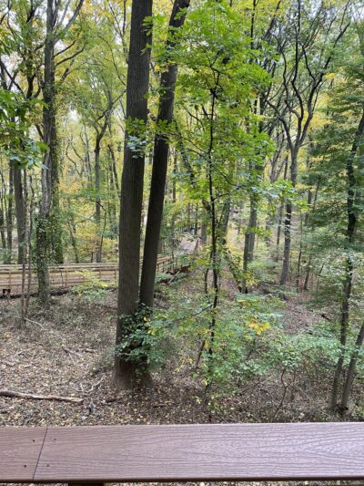 Saint Francis woodlands - Staten Island, NY
