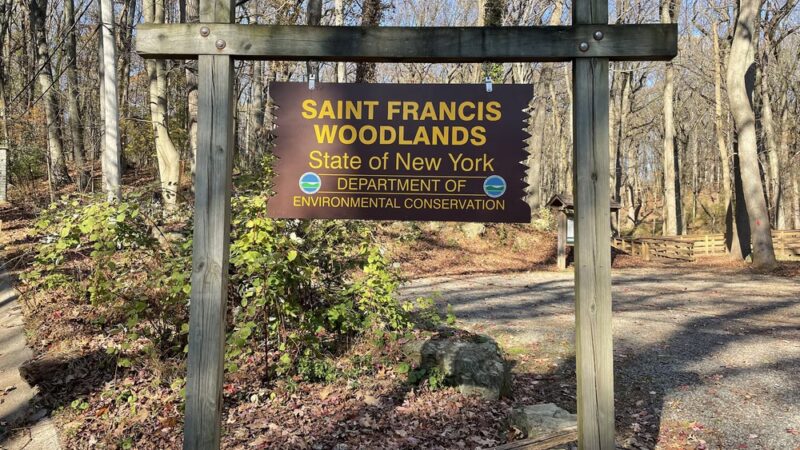 Saint Francis woodlands - Staten Island, NY