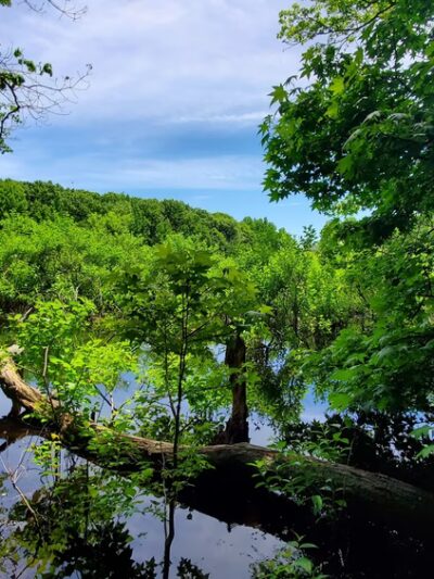 Siedenburg Park - Staten Island, NY