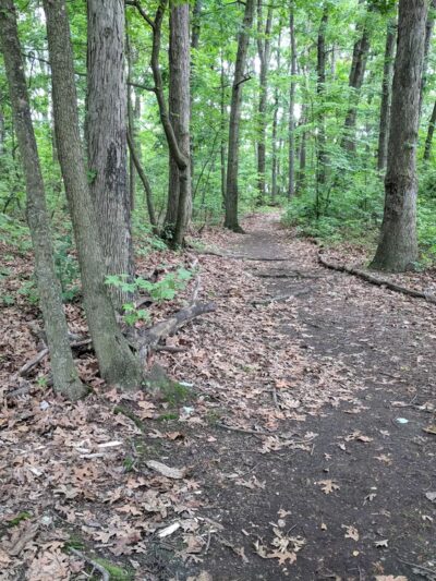 Siedenburg Park - Staten Island, NY