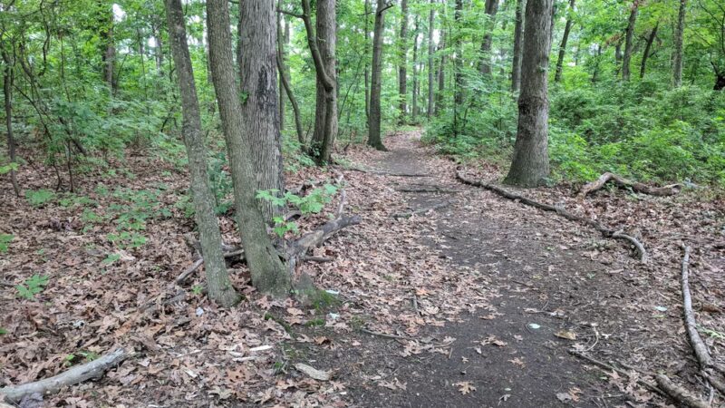 Siedenburg Park - Staten Island, NY