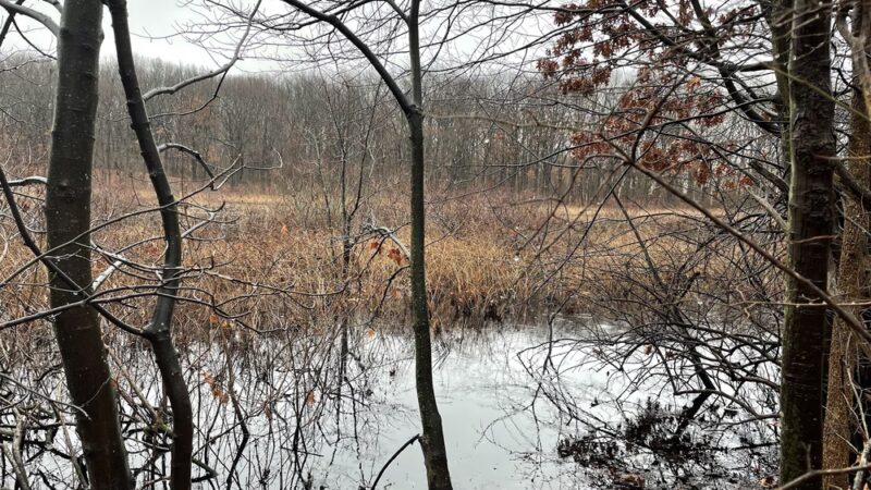 Siedenburg Park - Staten Island, NY