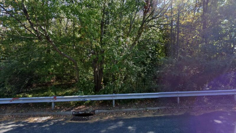 Wegener Park - Staten Island, NY