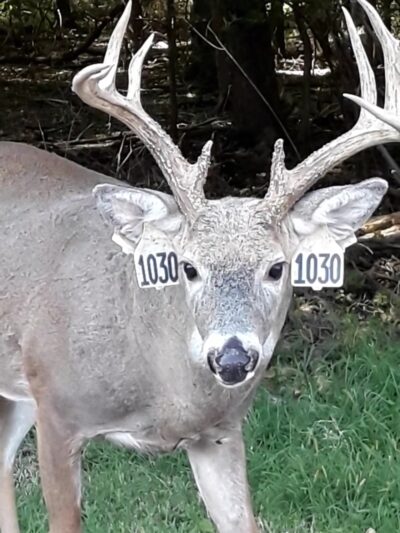 William T Davis Wildlife Refuge - Staten Island, NY