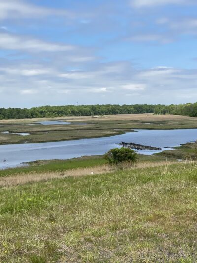 William T Davis Wildlife Refuge - Staten Island, NY