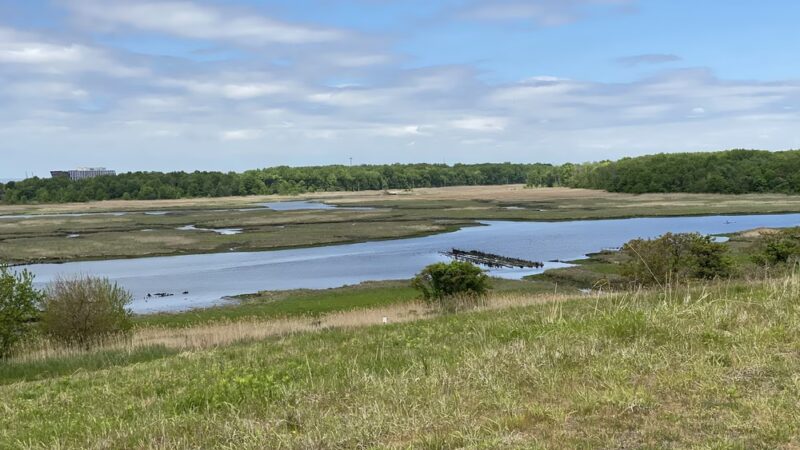 William T Davis Wildlife Refuge - Staten Island, NY