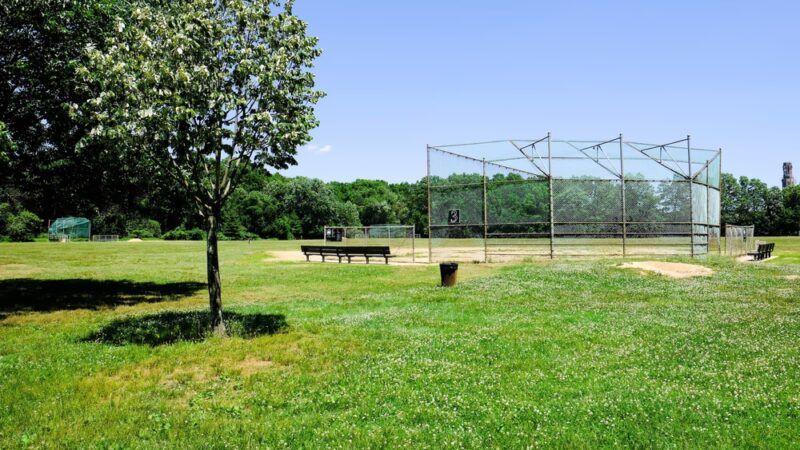 Willowbrook Park Softball Fields - Staten Island, NY