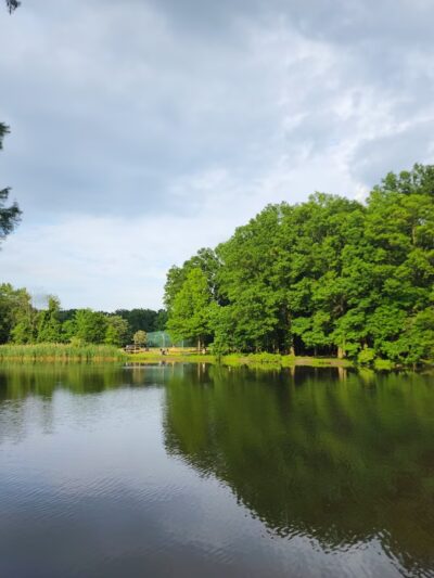 Willowbrook Park Softball Fields - Staten Island, NY