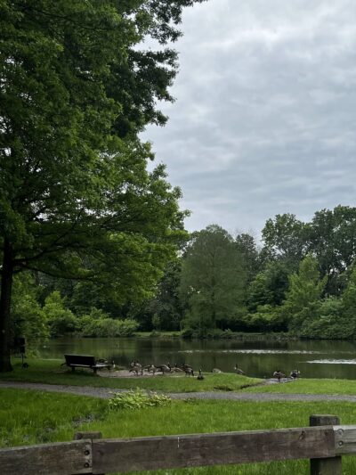 Willowbrook Park Softball Fields - Staten Island, NY