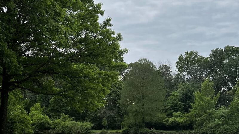Willowbrook Park Softball Fields - Staten Island, NY
